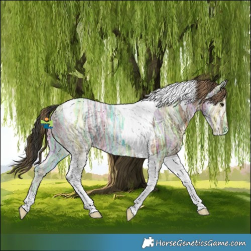 Horse Color:Plaid Bay Ice Tobiano