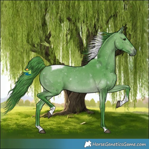 Horse Color:Watercolor Bay Tobiano 