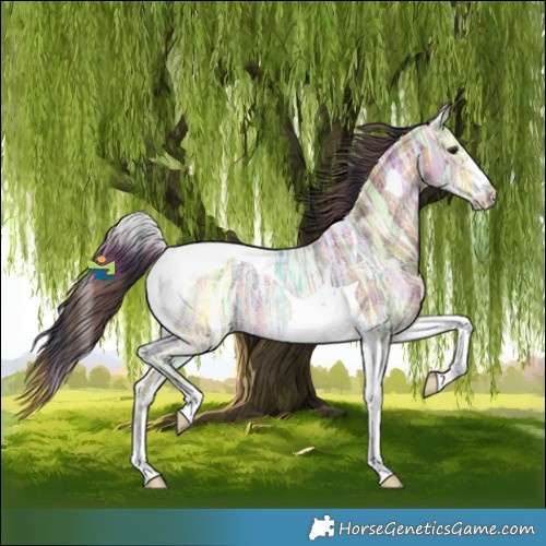 Horse Color:Plaid  Bay Ice Tobiano 