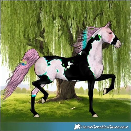 Horse Color:Watercolor Bay Roan Tobiano Frame