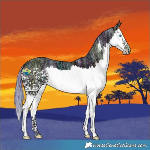 Horse Color:Nacre Watercolor Buckskin Ice Dun Sabino Splash 