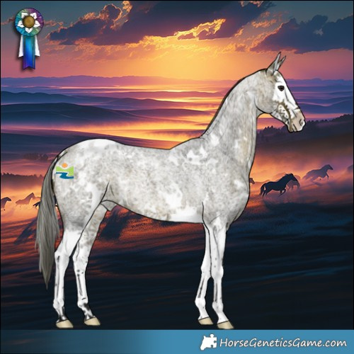 Horse Color:White Spotted Bay Ice Roan Splash Appaloosa
