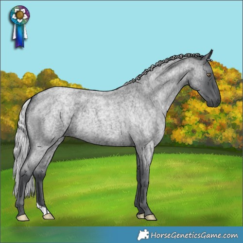 Horse Color:Silver Blue Chinchilla Roan 