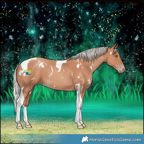Horse Color:White Spotted Silver Classic Champagne Tobiano Rabicano