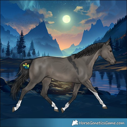 Horse Color:Grullo Tobiano 