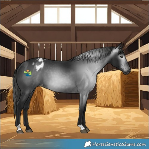 Horse Color:Gray Black Blanket 