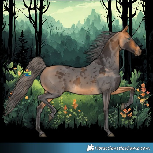 Horse Color:Buckskin Merle 