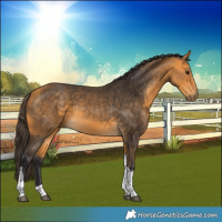 Horse Color:Buckskin Tobiano 