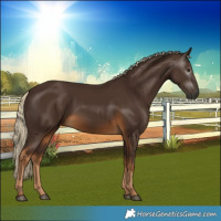 Horse Color:Gray Chocolate Palomino