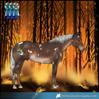 Horse Color:White Spotted Liver Chestnut Mushroom 