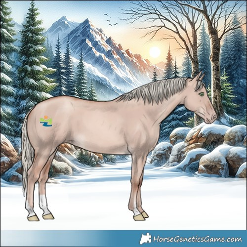 Horse Color:Gold Champagne Dun Mushroom 