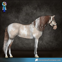 Horse Color:White Spotted Sable Champagne Dun Tobiano Varnish 