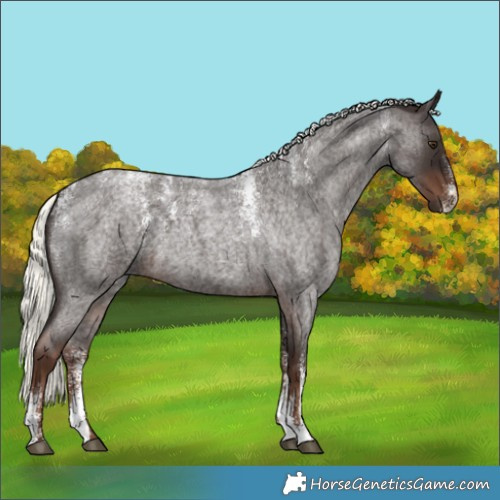 Horse Color:Powder White Liver Red Roan Mushroom
