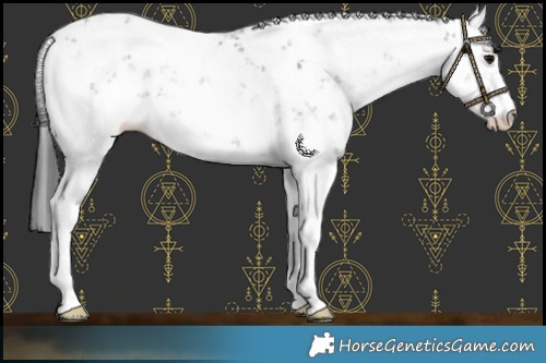 Horse Color:Black Sabino Rabicano 