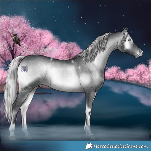 Horse Color:White Spotted Silver Brown Chinchilla Onyx 