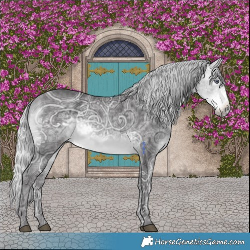 Horse Color:Silver Buckskin Chinchilla Ice
