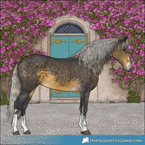 Horse Color:Silver Buckskin Sabino