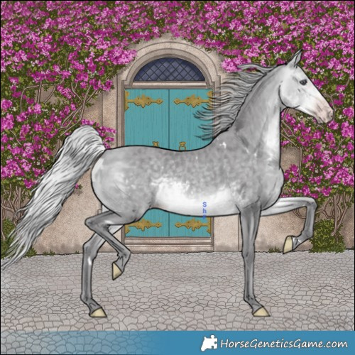 Horse Color:White Spotted Silver Sable Cream Champagne Chinchilla 