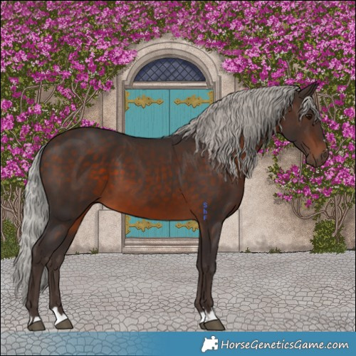 Horse Color:Silver Brown 