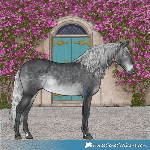 Horse Color:Silver Brown Chinchilla