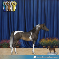 Horse Color:Buckskin Tobiano
