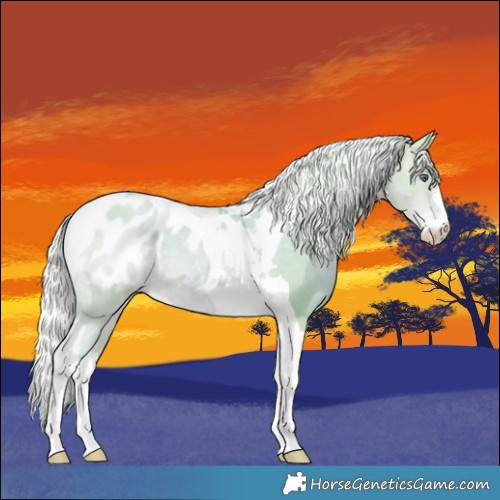 Horse Color:Watercolor Silver Buckskin Chinchilla Pearl Sabino Tobiano Blanket 