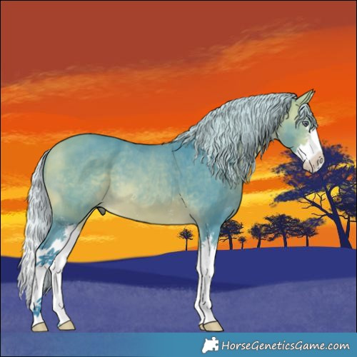 Horse Color:Watercolor Silver Bay Chinchilla Sabino Splash 