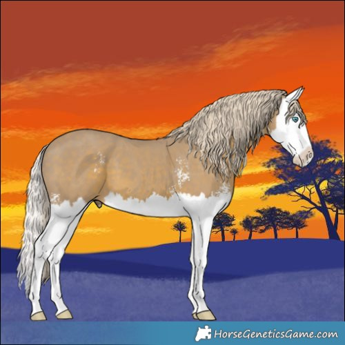 Horse Color:Watercolor Silver Black Sabino Splash