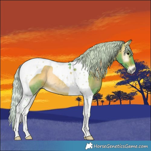 Horse Color:Watercolor Silver Brown Onyx Tobiano Rabicano
