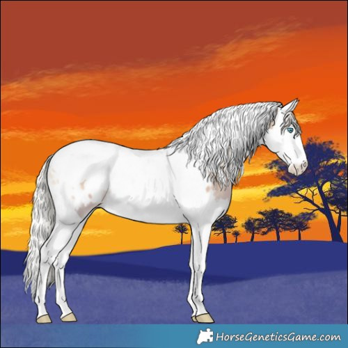 Horse Color:Watercolor Silver Bay Snowdrop Pearl Onyx Splash Tobiano Appaloosa