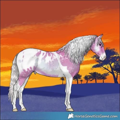 Horse Color:Watercolor Silver Bay Onyx Tobiano Appaloosa 