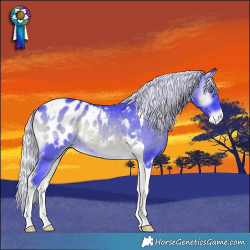 Horse Color:Watercolor Silver Blue Onyx Chinchilla Tobiano Appaloosa