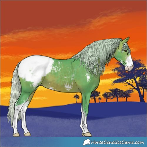 Horse Color:Watercolor Silver Brown Sabino Appaloosa 
