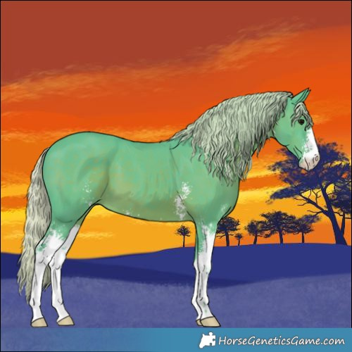 Horse Color:Watercolor Silver Black Sabino