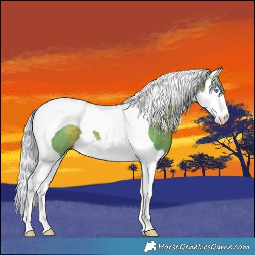 Horse Color:Watercolor Silver Brown Splash Tobiano