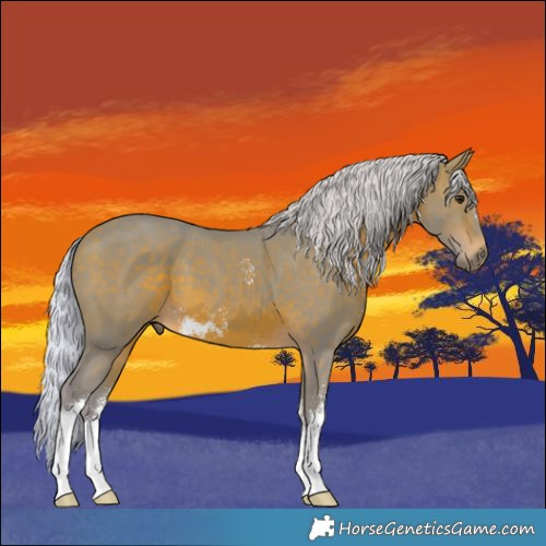 Horse Color:Watercolor Silver Brown Sabino 