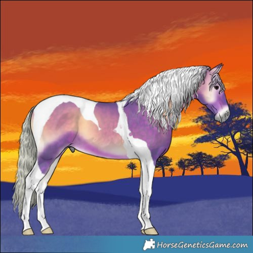 Horse Color:Watercolor Silver Brown Onyx Tobiano 