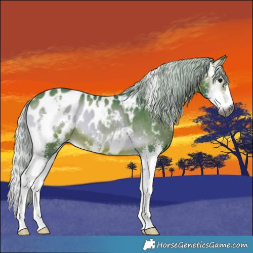 Horse Color:Gray Watercolor Silver Bay Onyx Sabino Blanket