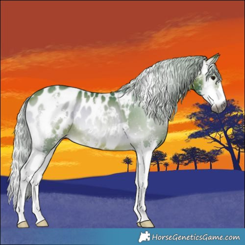 Horse Color:Gray Watercolor Silver Bay Onyx Sabino Blanket