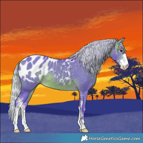 Horse Color:Watercolor Silver Brown Sabino Blanket 