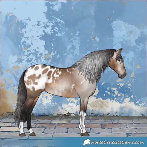 Horse Color:Gray Bay Dun Tobiano Blanket 