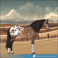Horse Color:Gray Bay Dun Tobiano Blanket
