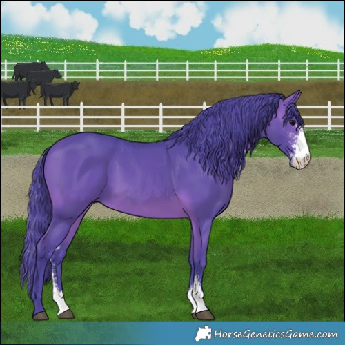 Horse Color:Watercolor Brown Sabino 