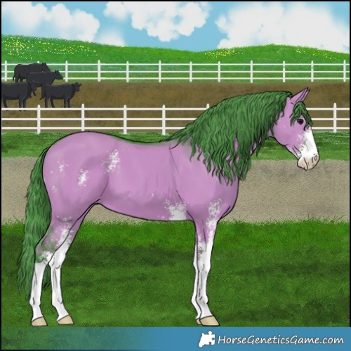 Horse Color:Watercolor Grullo Sabino 