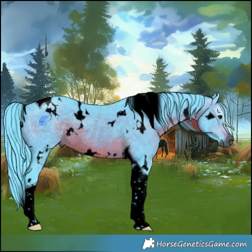 Horse Color:Gray Void Watercolor White Spotted Brown Tobiano Rabicano 