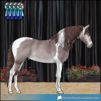 Horse Color:Chocolate Bay Chinchilla Tobiano