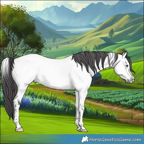 Horse Color:Buckskin Chinchilla Tobiano 