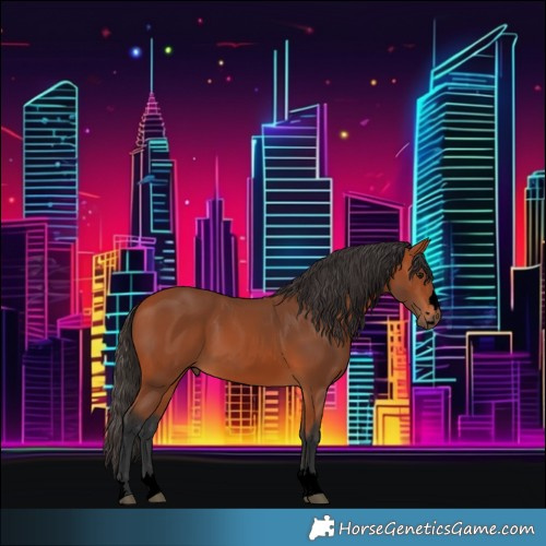 Horse Color:Void Bay