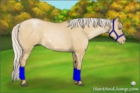 Horse Color:White Spotted Silver Bay Pearl Dun 