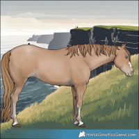 Horse Color:Black Pearl